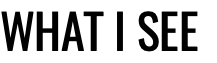 WHAT I SEE